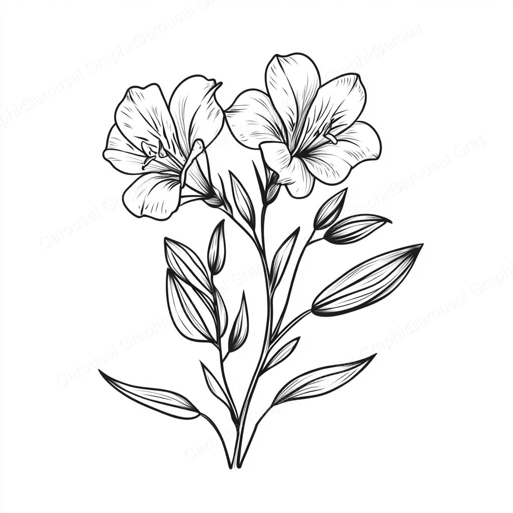 Alstroemeria Vector Graphic preview