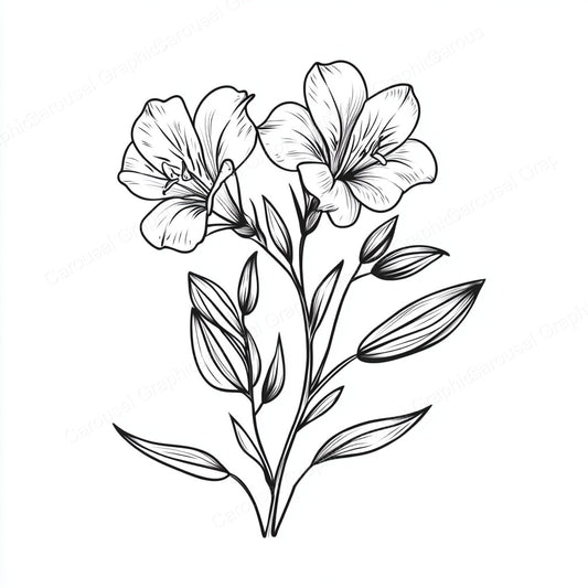 Alstroemeria Vector Graphic preview