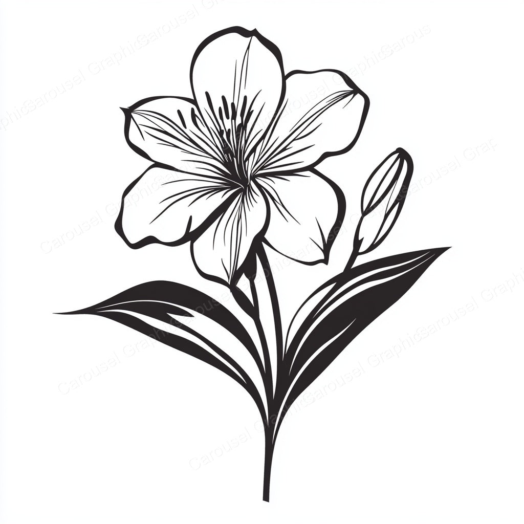 Alstroemeria Vector Graphic preview