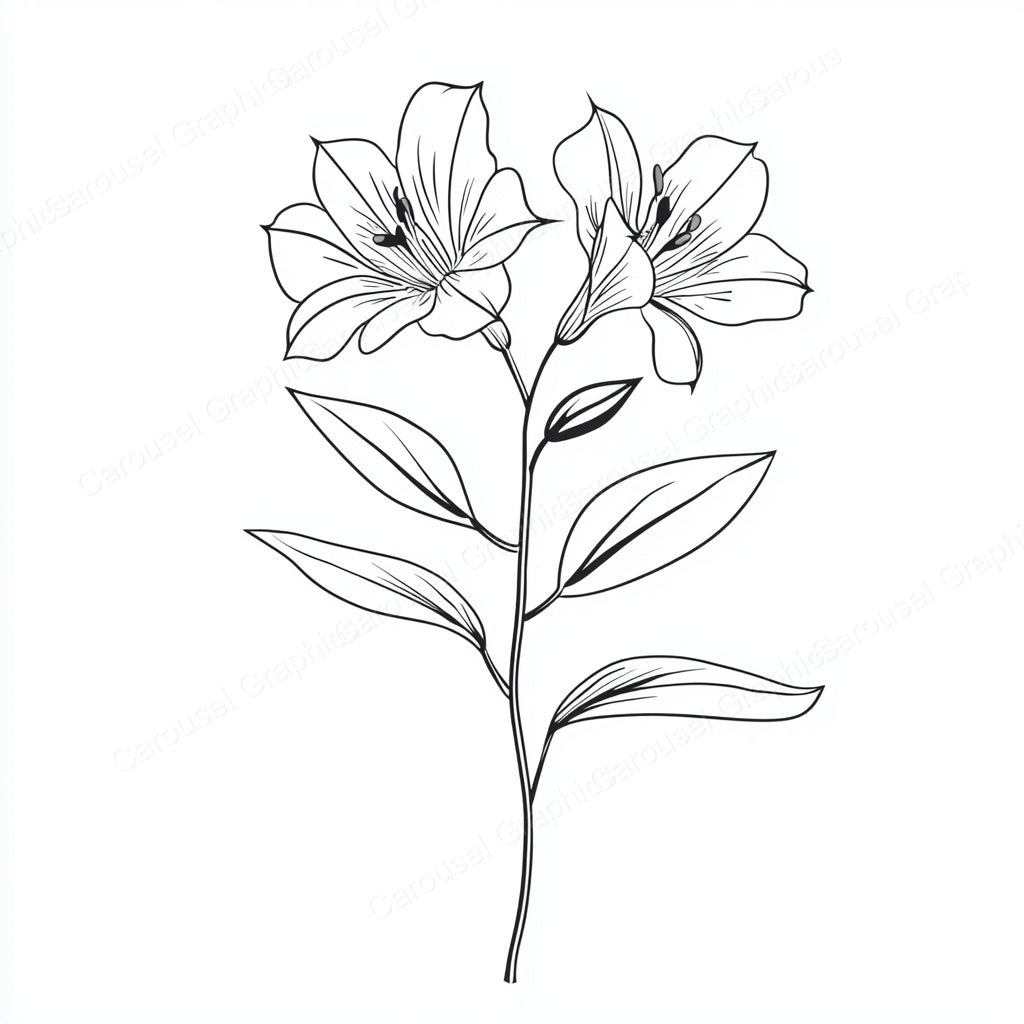 Alstroemeria Vector Graphic preview