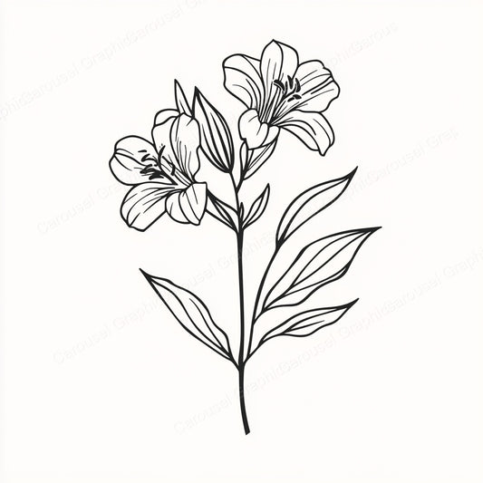 Alstroemeria Vector Graphic preview