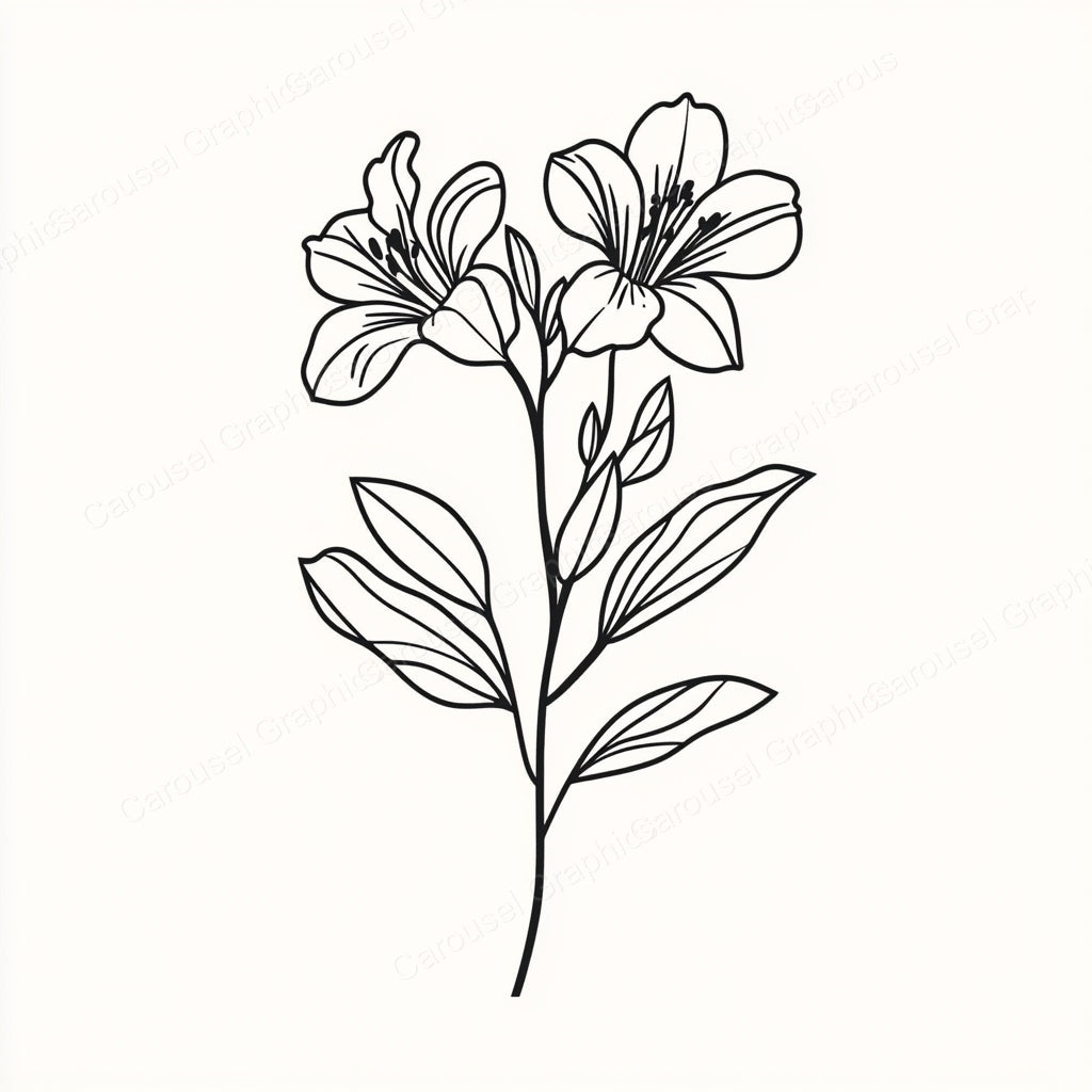 Alstroemeria Vector Graphic preview
