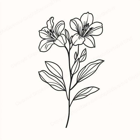 Alstroemeria Vector Graphic preview