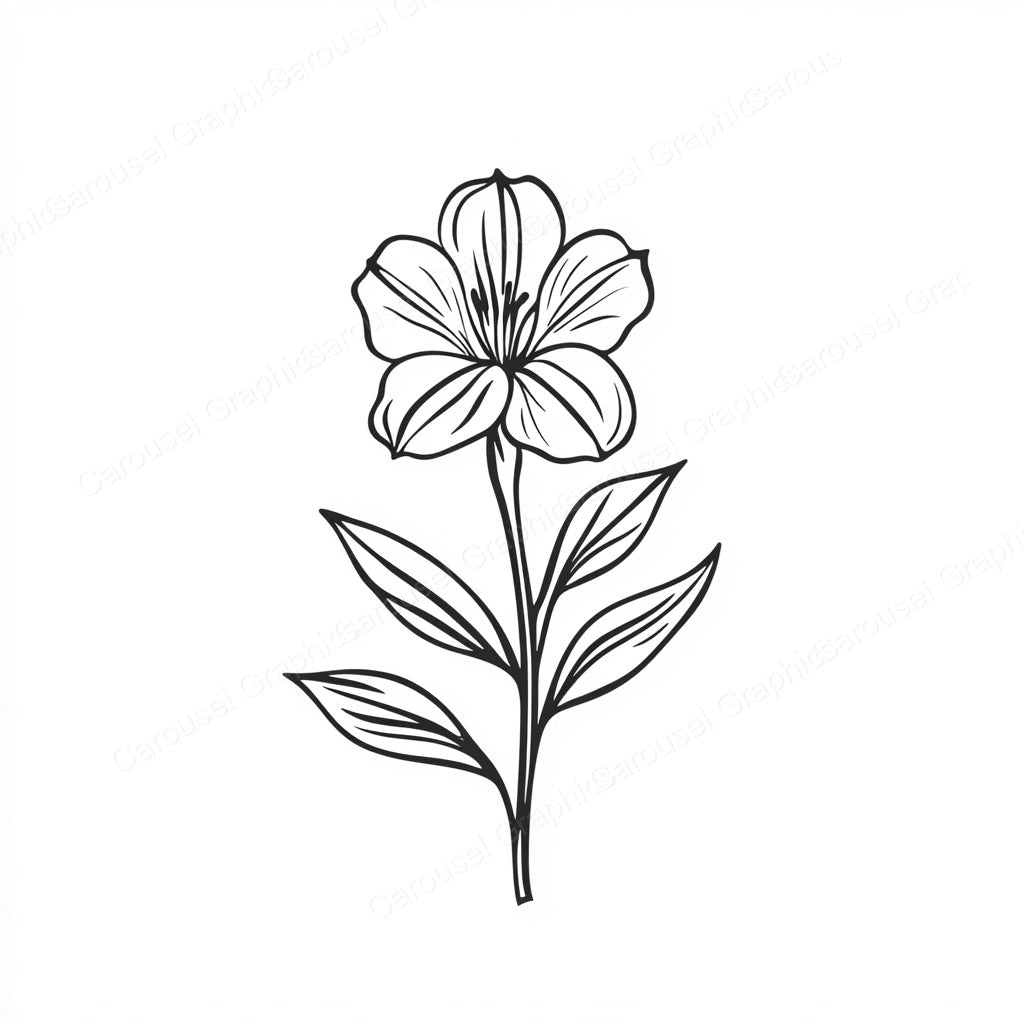 Alstroemeria Vector Graphic preview