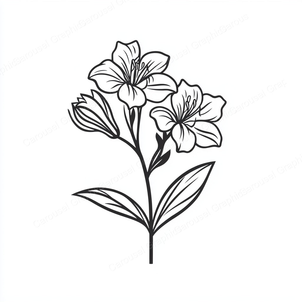 Alstroemeria Vector Graphic preview