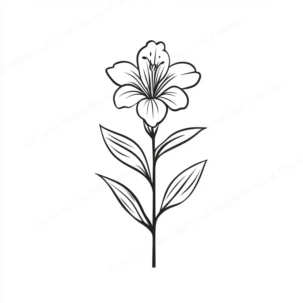 Alstroemeria Vector Graphic preview