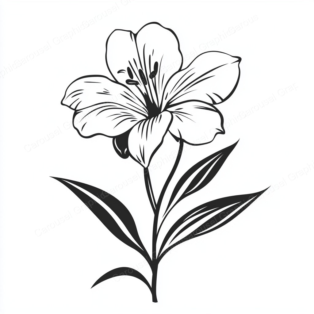 Alstroemeria Vector Graphic preview