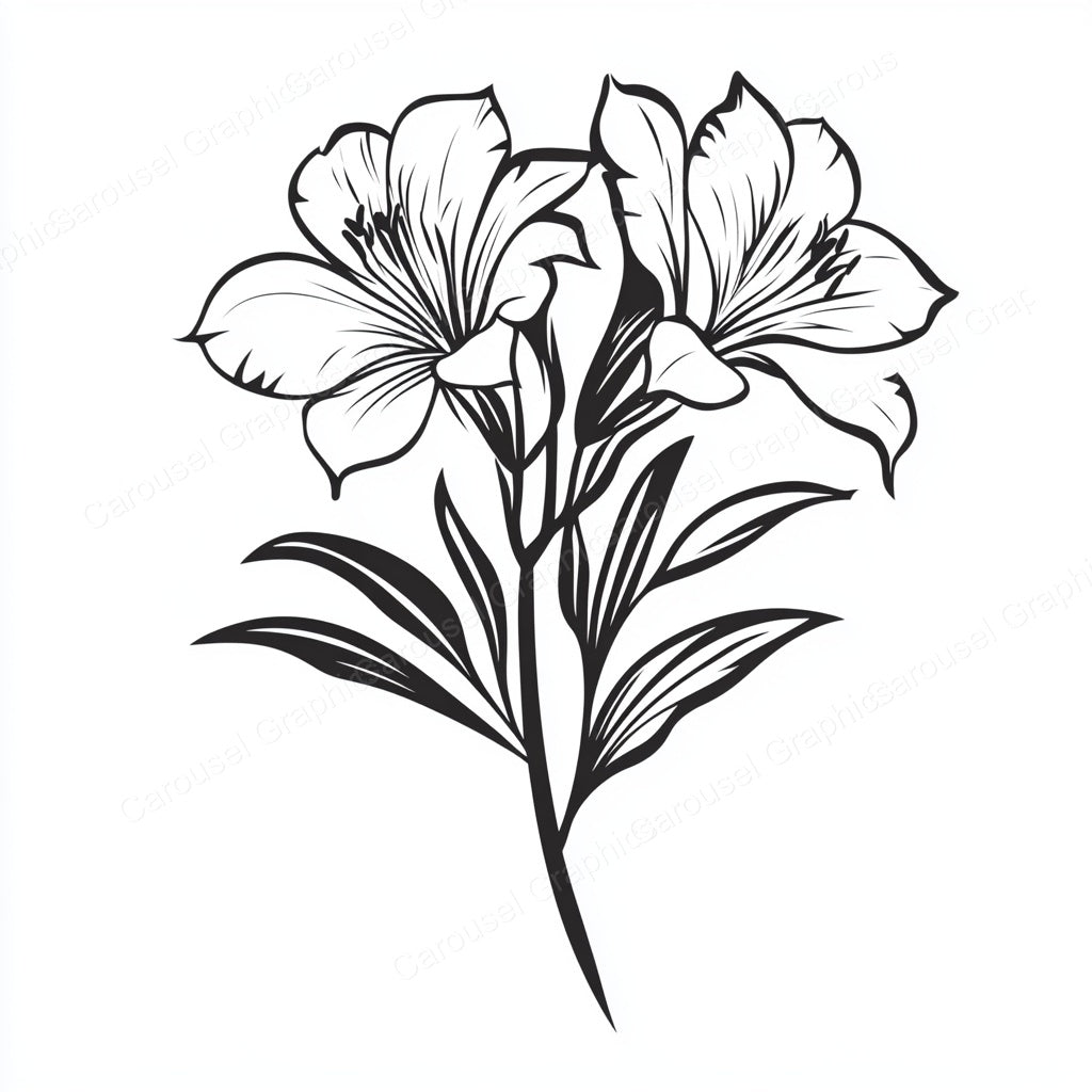 Alstroemeria Vector Graphic preview