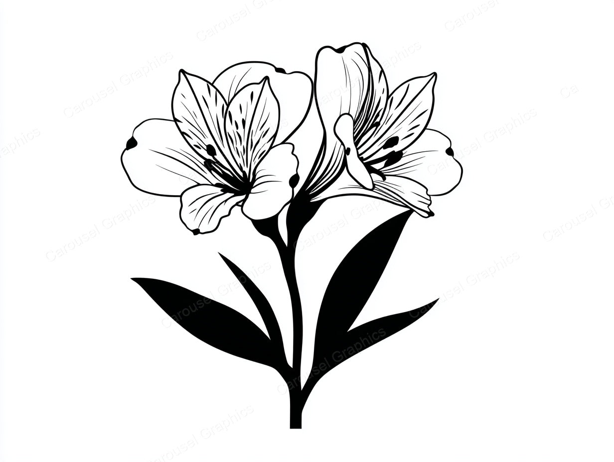 Alstroemeria Vector Graphic preview