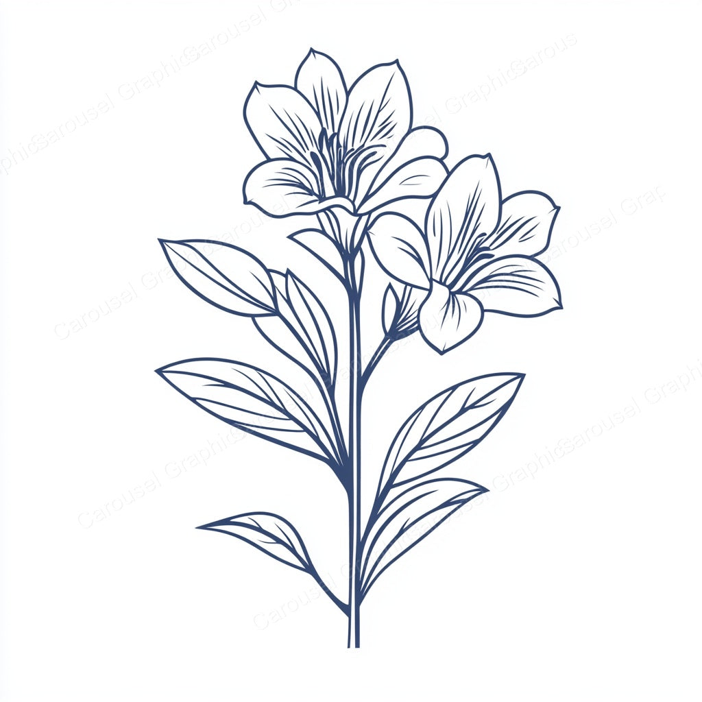 Alstroemeria Vector Graphic preview
