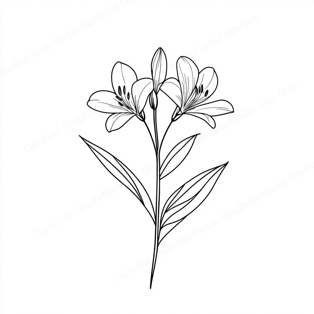 Alstroemeria Vector Graphic preview