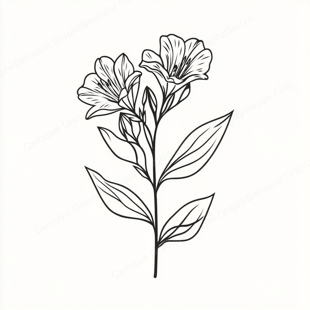 Alstroemeria Vector Graphic preview