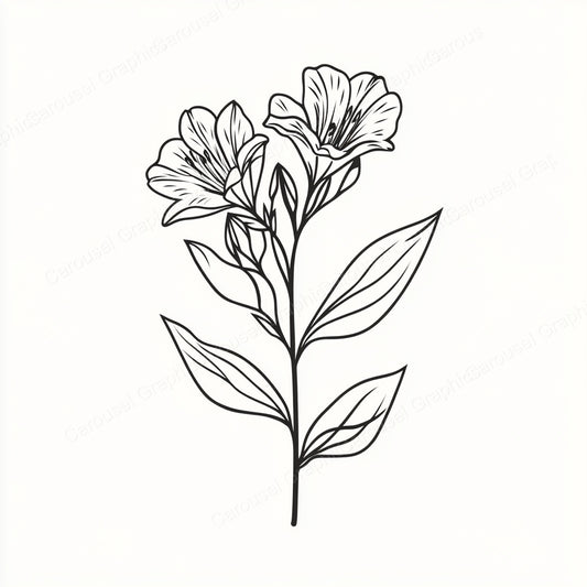 Alstroemeria Vector Graphic preview