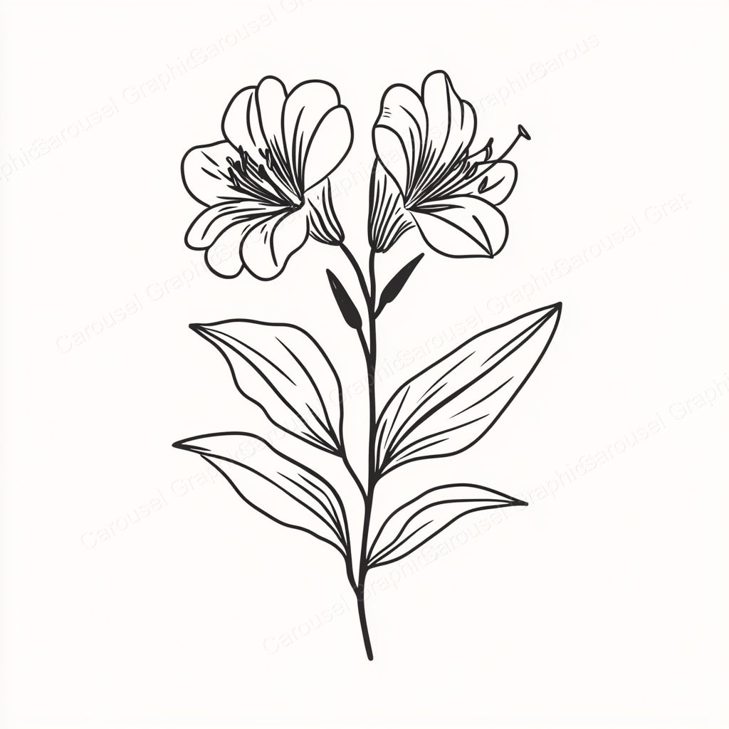 Alstroemeria Vector Graphic preview