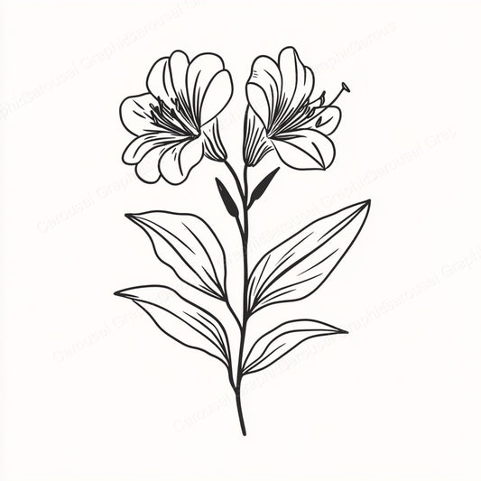 Alstroemeria Vector Graphic preview