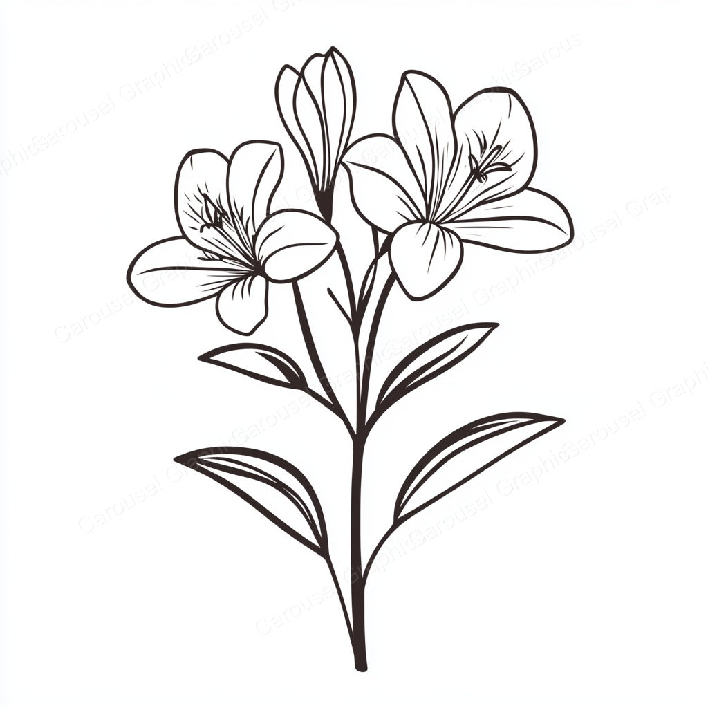 Alstroemeria Vector Graphic preview
