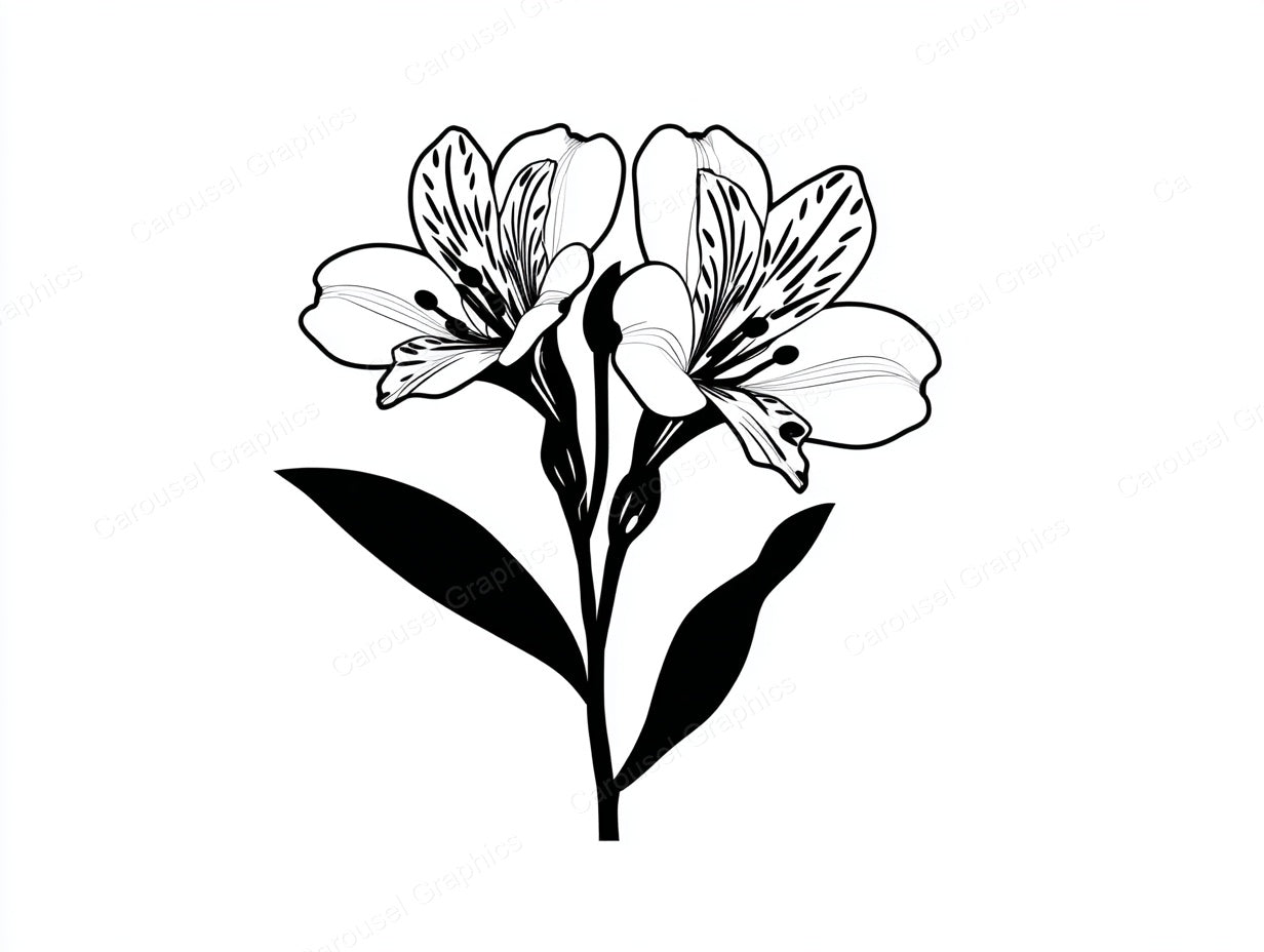 Alstroemeria Vector Graphic preview