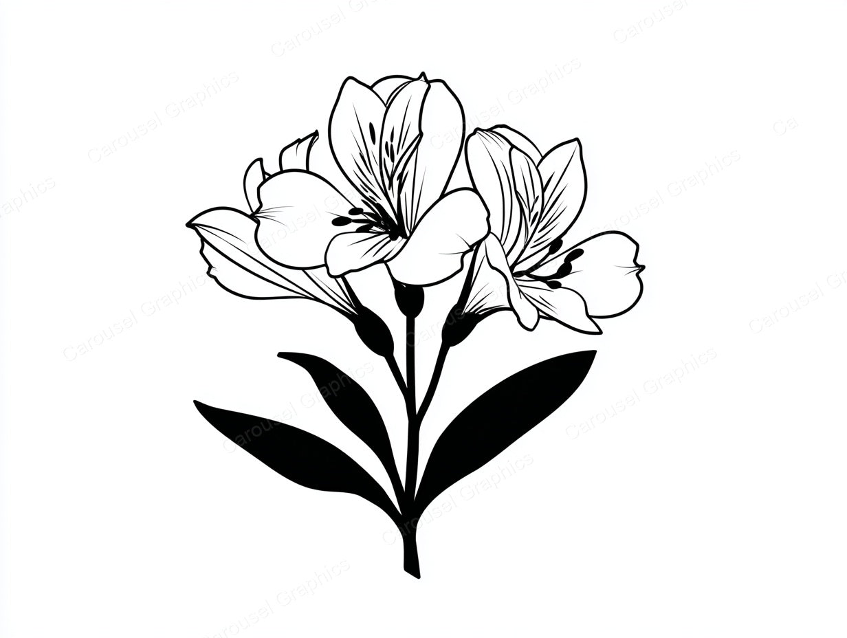 Alstroemeria Vector Graphic preview