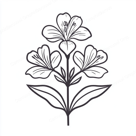 Alstroemeria Vector Graphic preview