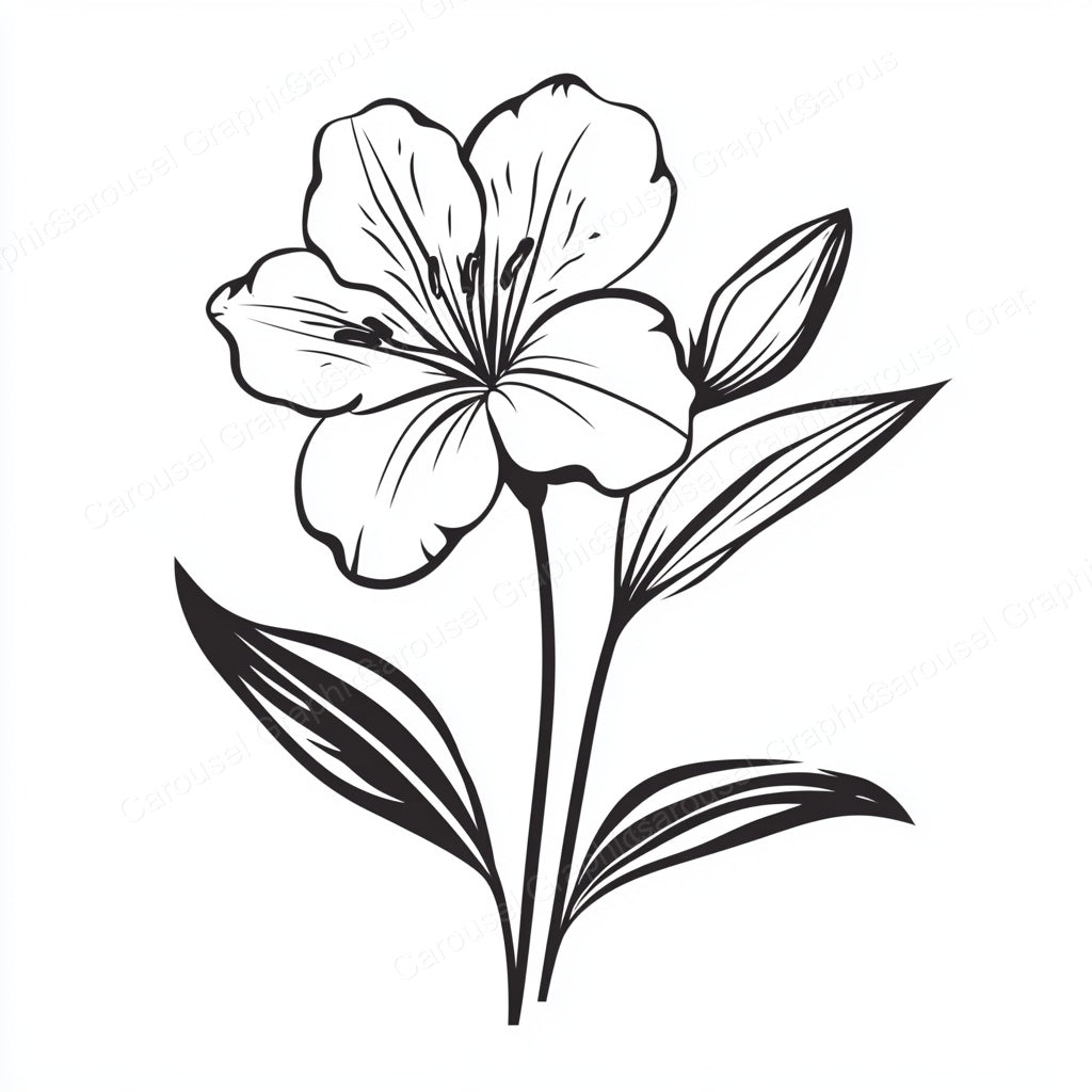 Alstroemeria Vector Graphic preview
