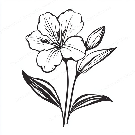 Alstroemeria Vector Graphic preview