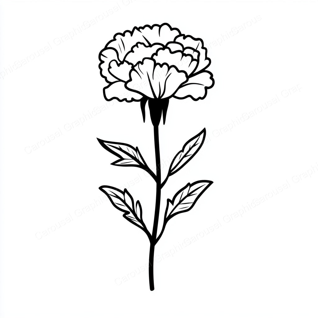 Carnation Vector Graphic preview
