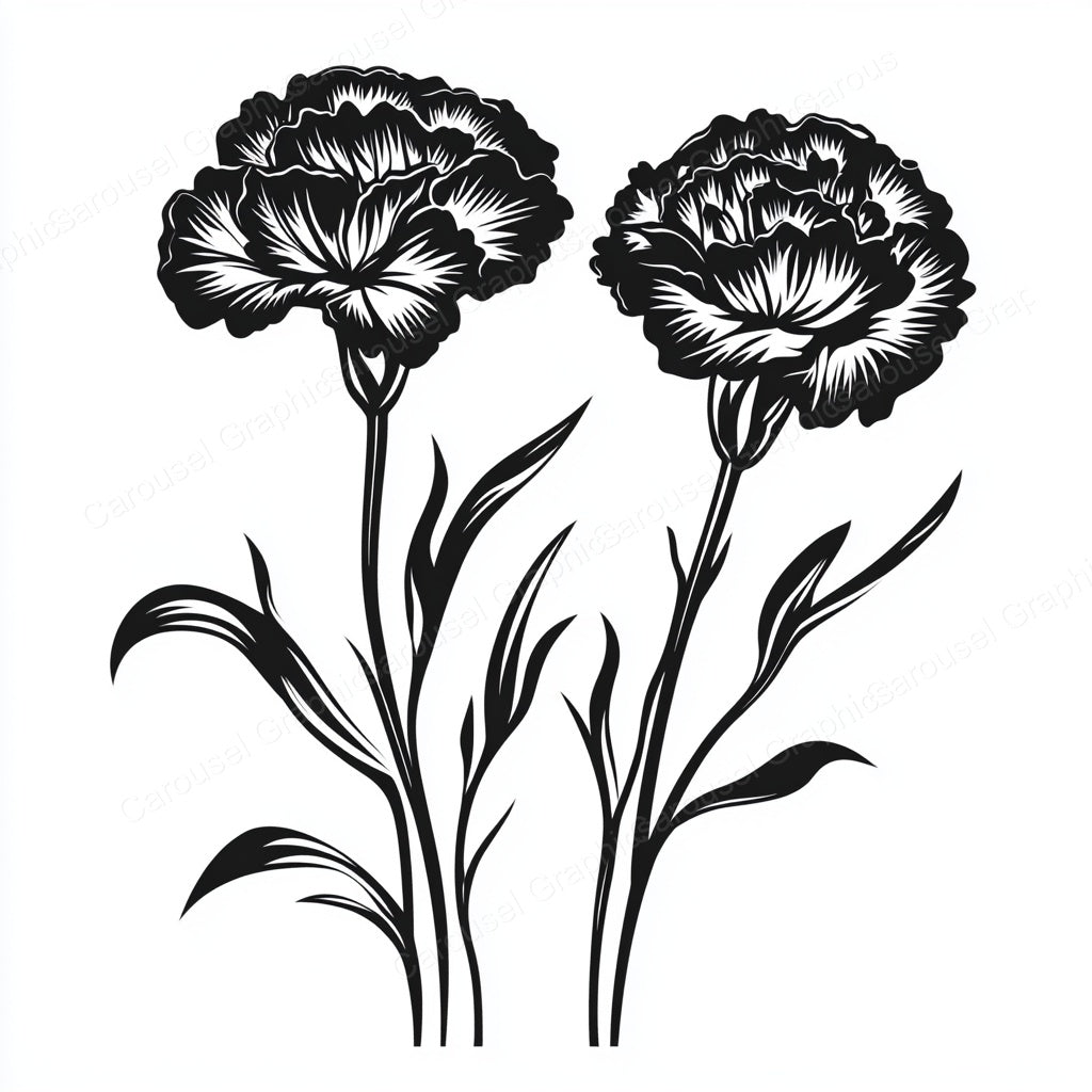 Carnation Vector Graphic preview
