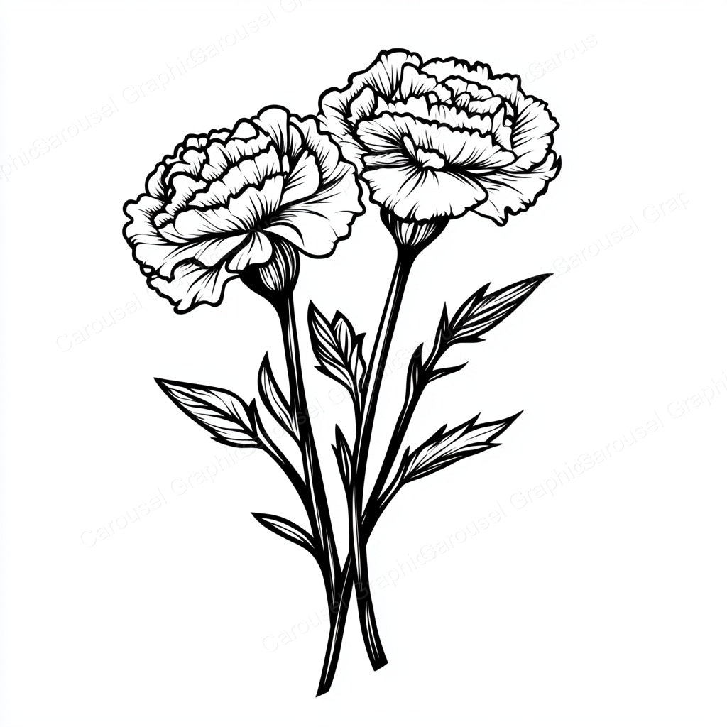 Carnation Vector Graphic preview