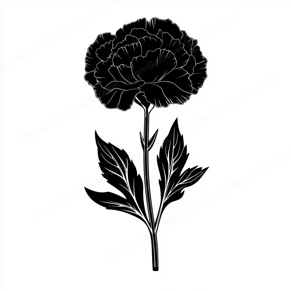 Carnation Vector Graphic preview