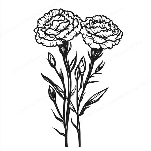 Carnation Vector Graphic preview