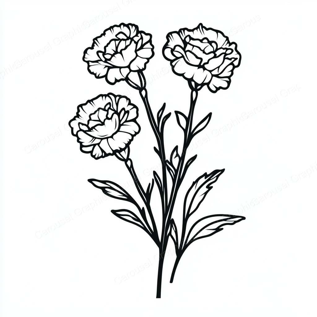 Carnation Vector Graphic preview