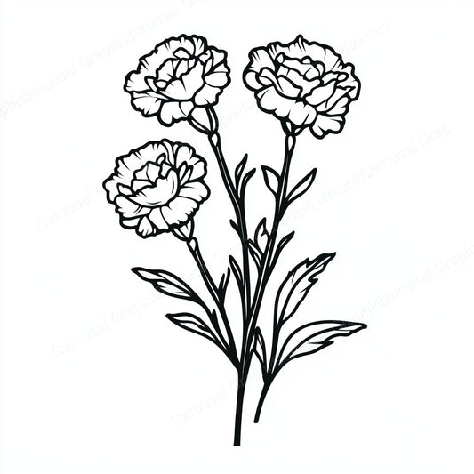 Carnation Vector Graphic preview