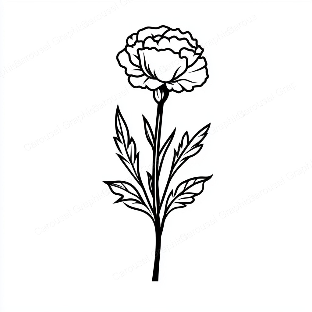 Carnation Vector Graphic preview