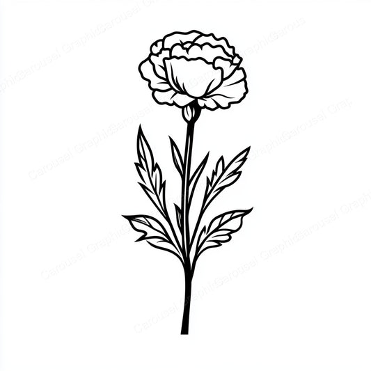 Carnation Vector Graphic preview