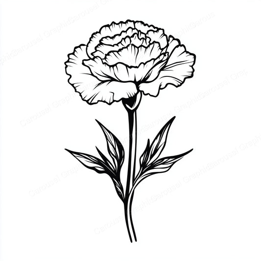 Carnation Vector Graphic preview