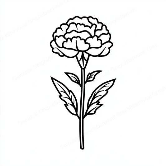 Carnation Vector Graphic preview