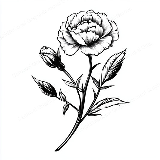 Carnation Vector Graphic preview