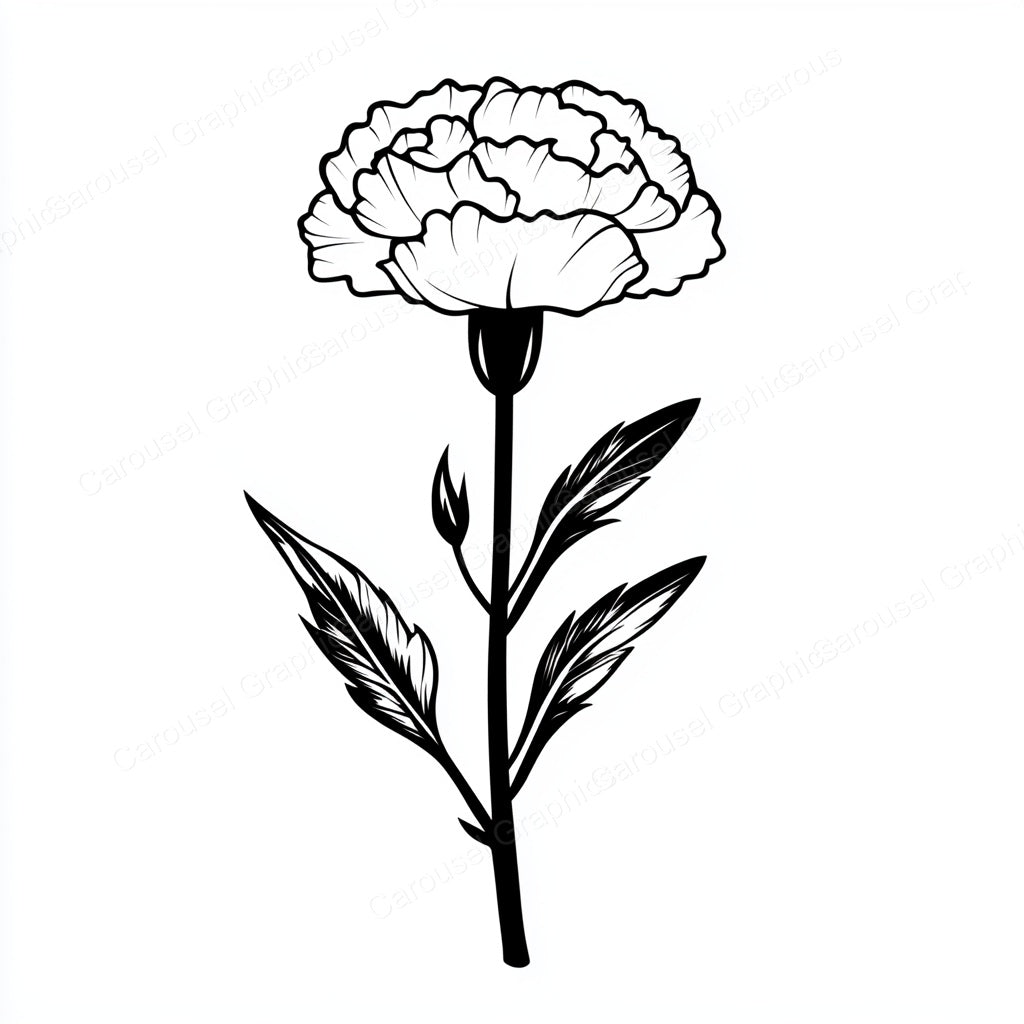 Carnation Vector Graphic preview