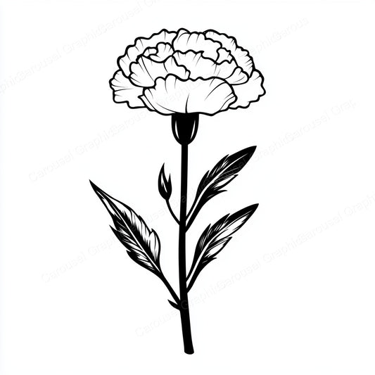 Carnation Vector Graphic preview