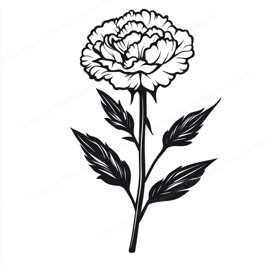 Carnation Vector Graphic preview
