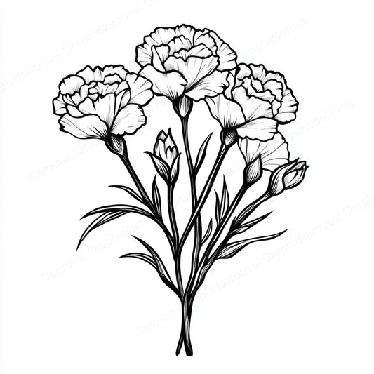 Carnation Vector Graphic preview