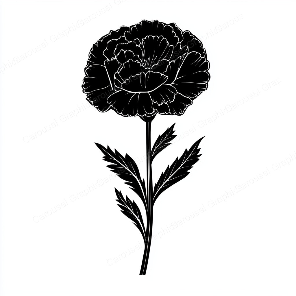 Carnation Vector Graphic preview