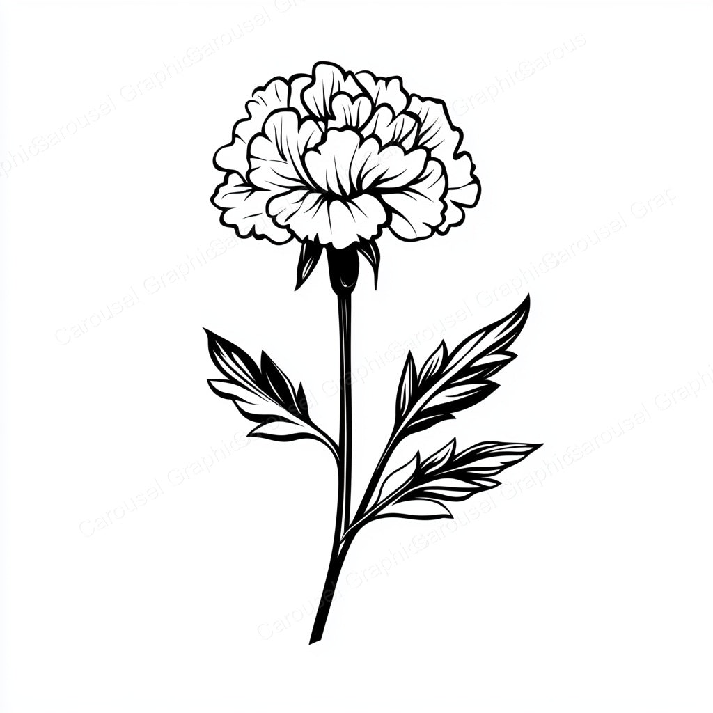 Carnation Vector Graphic preview