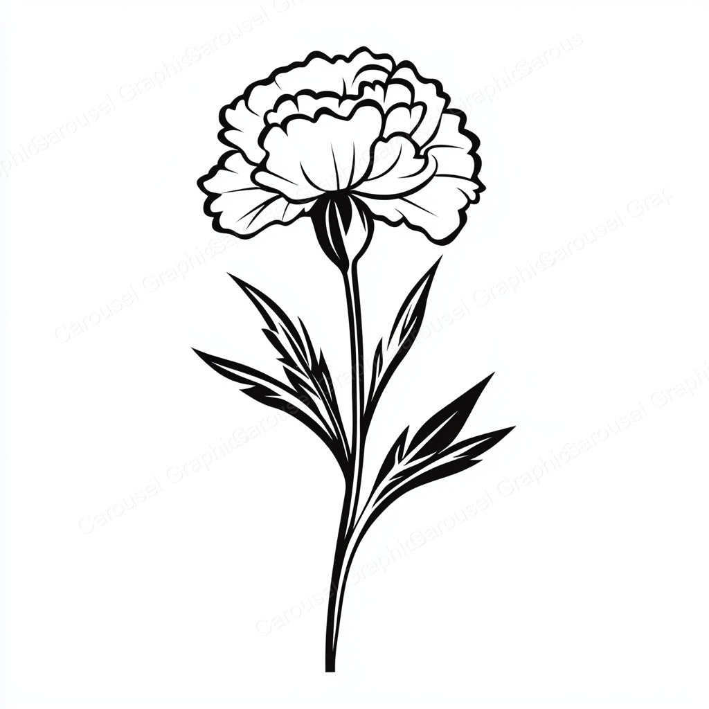 Carnation Vector Graphic preview