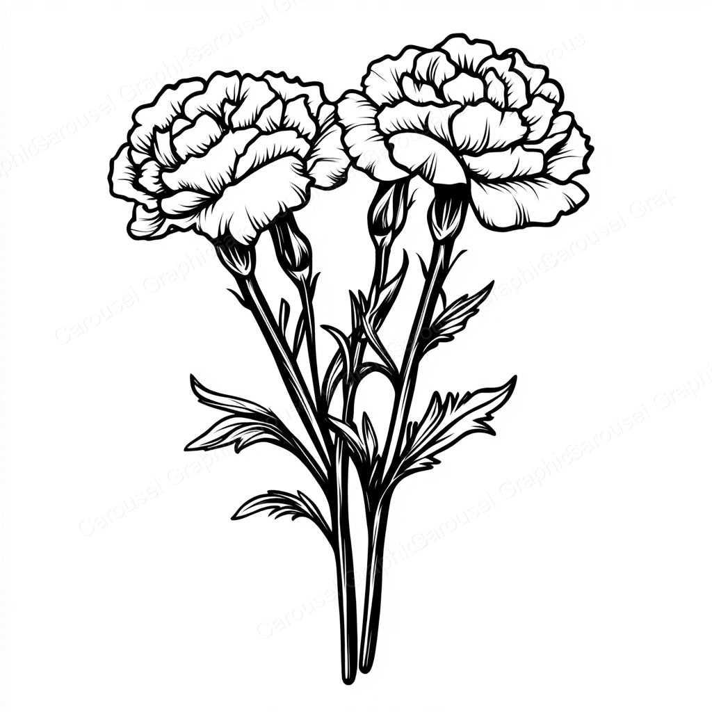 Carnation Vector Graphic preview