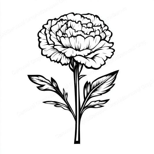 Carnation Vector Graphic preview
