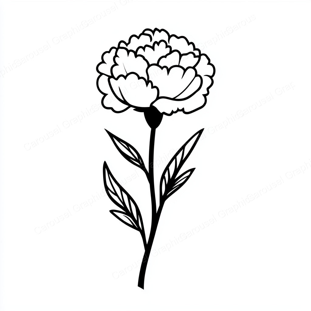 Carnation Vector Graphic preview