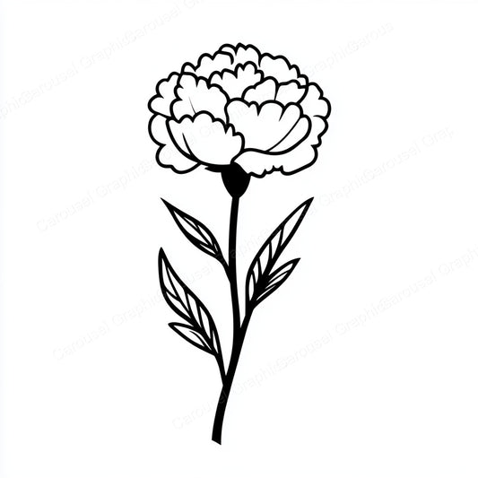 Carnation Vector Graphic preview