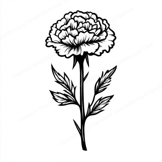 Carnation Vector Graphic preview