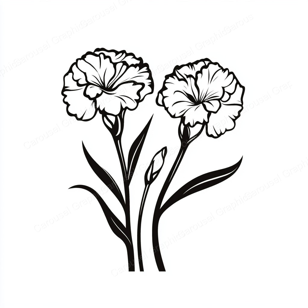 Carnation Vector Graphic preview